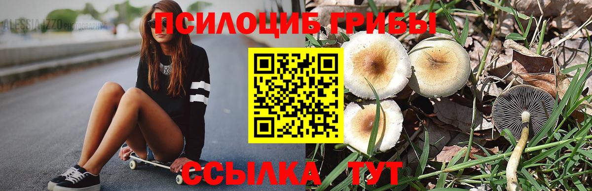 Псилоцибиновые грибы мухоморы  Вход с VPN  Галлюциногенные грибы MAGIC MUSHROOMS  Тверь 